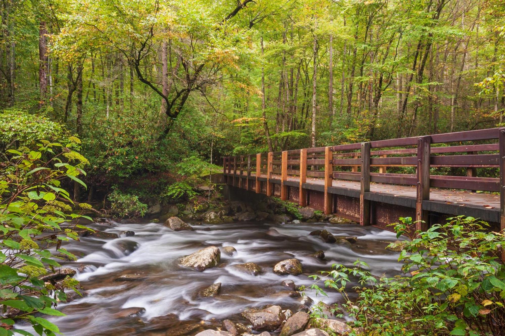 The Nut House, Hot Tub, Game Room, Wifi, 1089 Free Tickets Each Paid Day, Dollywood And More! Pigeon Forge Luaran gambar